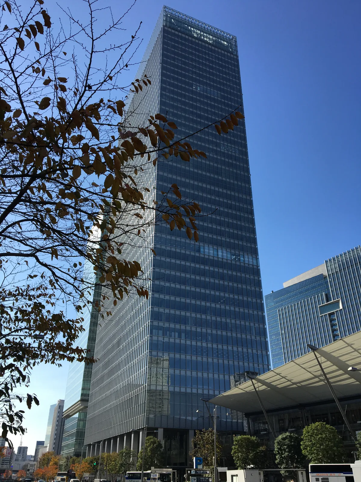 紅葉越しに見上げる高層オフィスビルの外観（BNPパリバ）