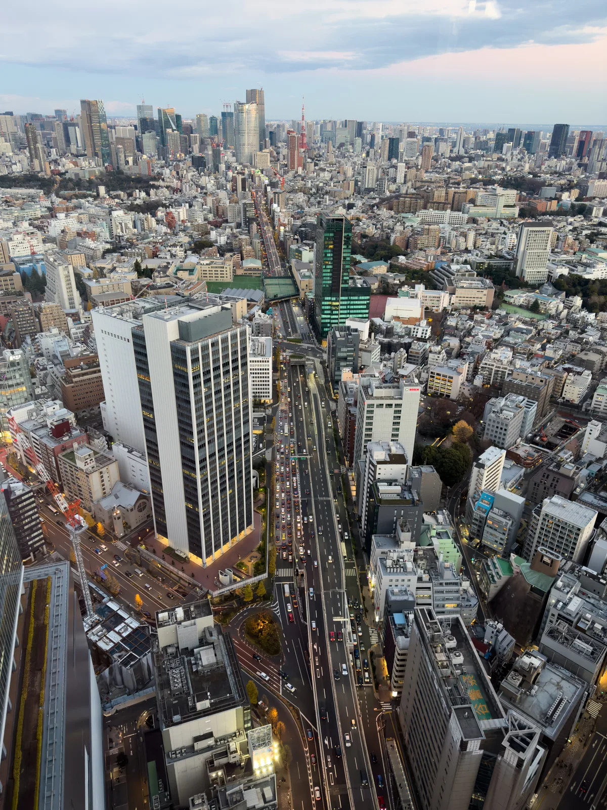 高層階から見渡す東京都心の街並み(DeNA)