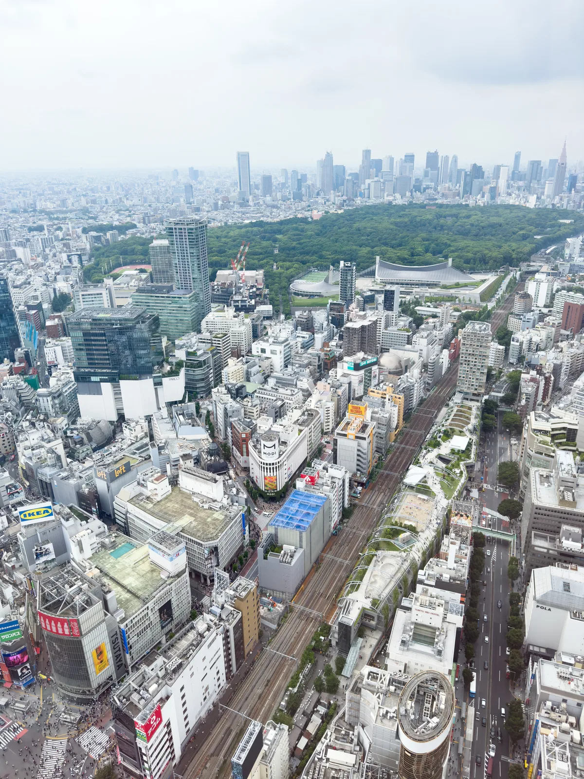渋谷スクランブルスクエア展望台からの眺望(DeNA)