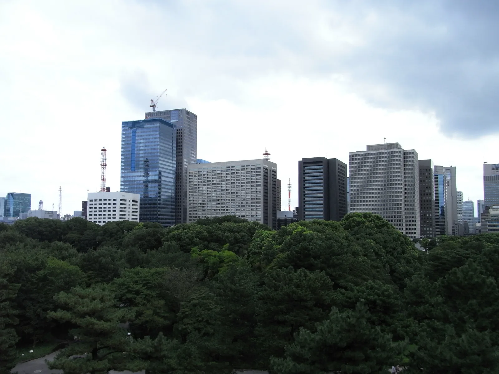 緑豊かな皇居周辺と大手町のビル群の眺望（野村総合研究所）