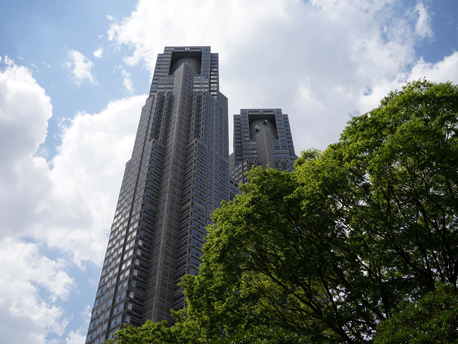 緑越しに見上げる高層ツインタワーの外観(東京都庁)
